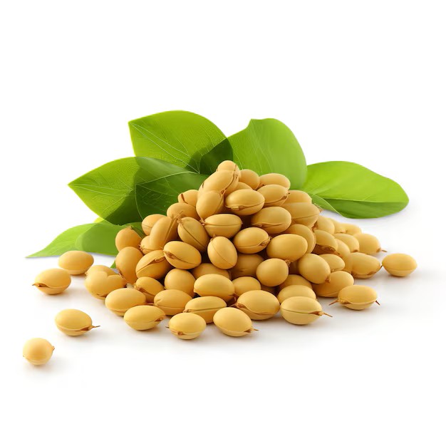Organic Soybeans